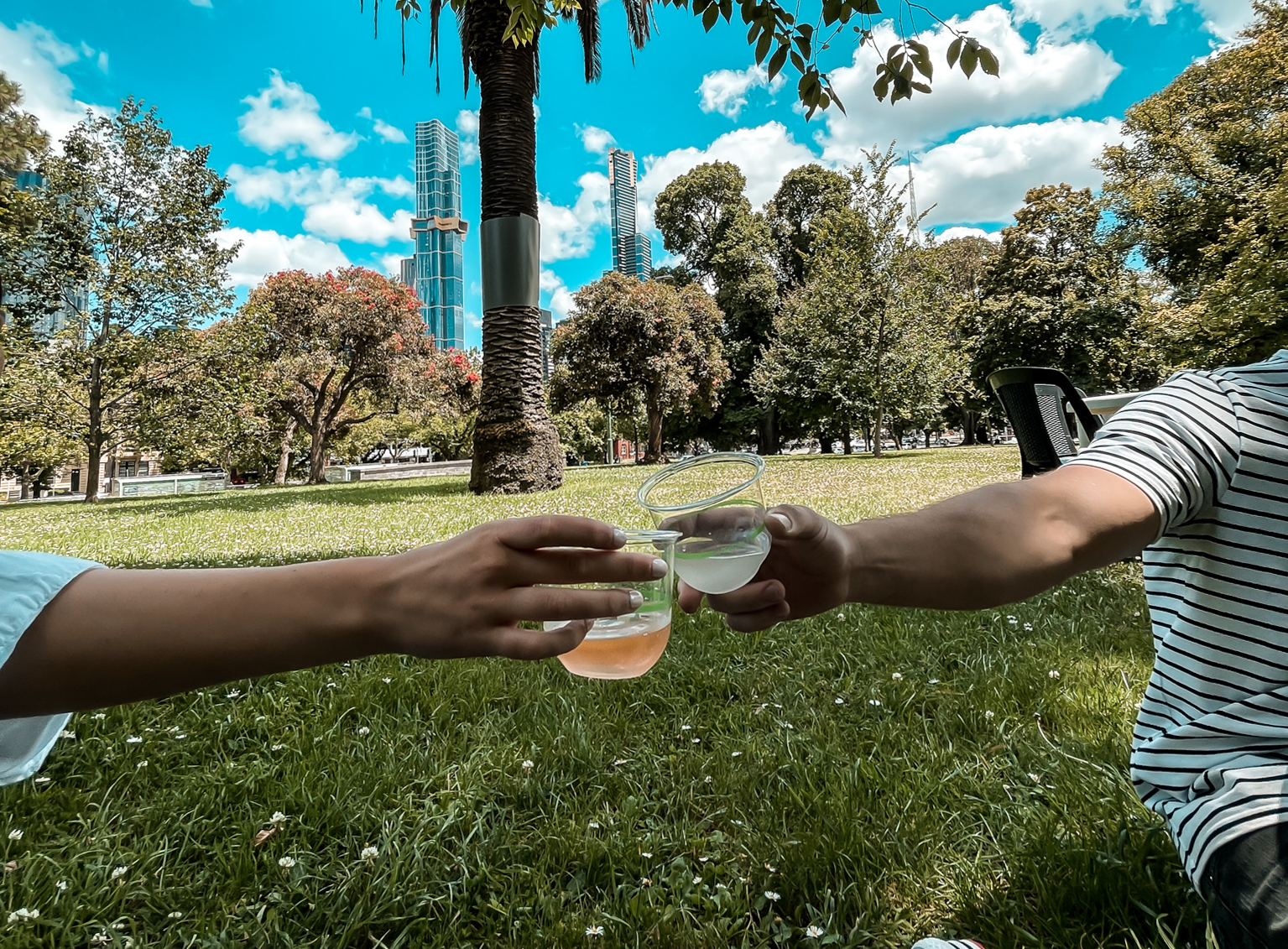 Drinks in the park
